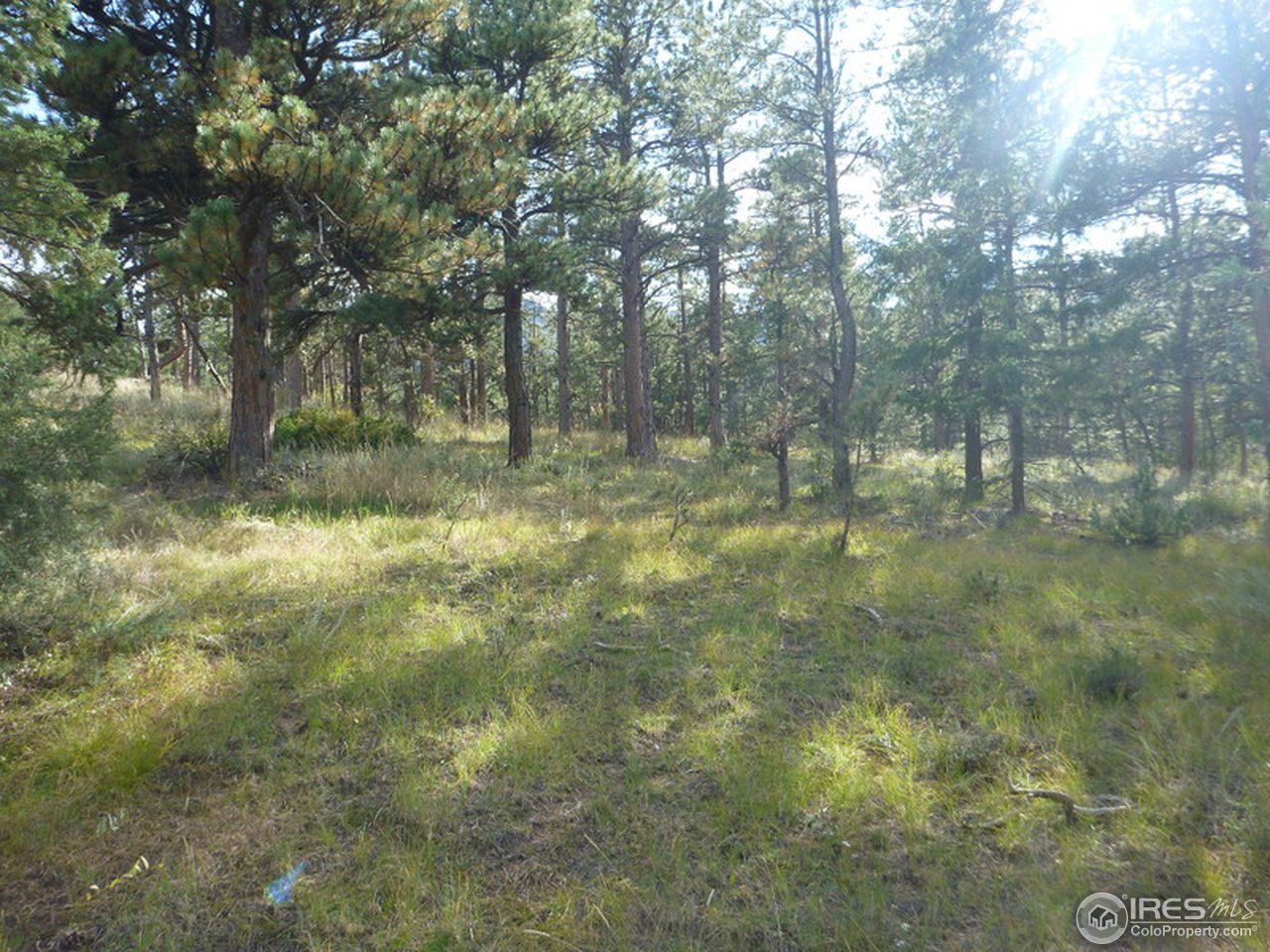 0 Kiowa Road Lyons, CO 80540 - Photo 9 of 10 Gallery Image 9