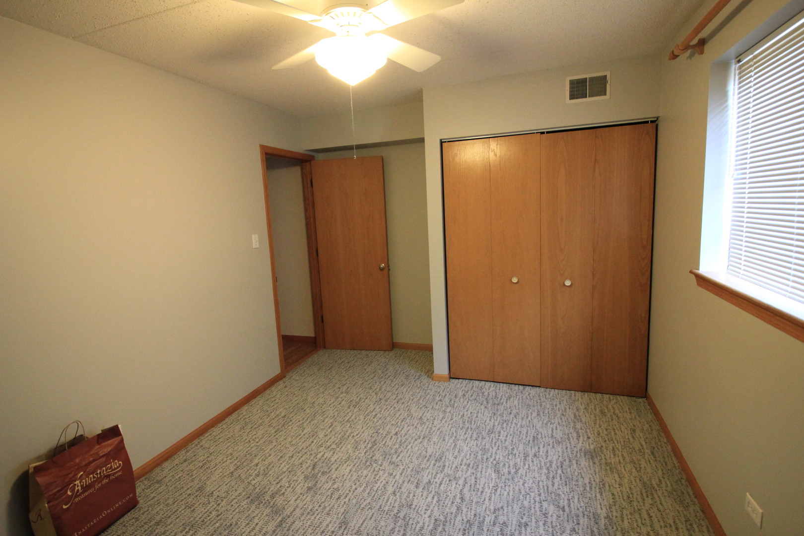 18136 Rita Road, Unit 1A Tinley Park, IL 60477 - Photo 12 of 19 an empty room with windows and closet