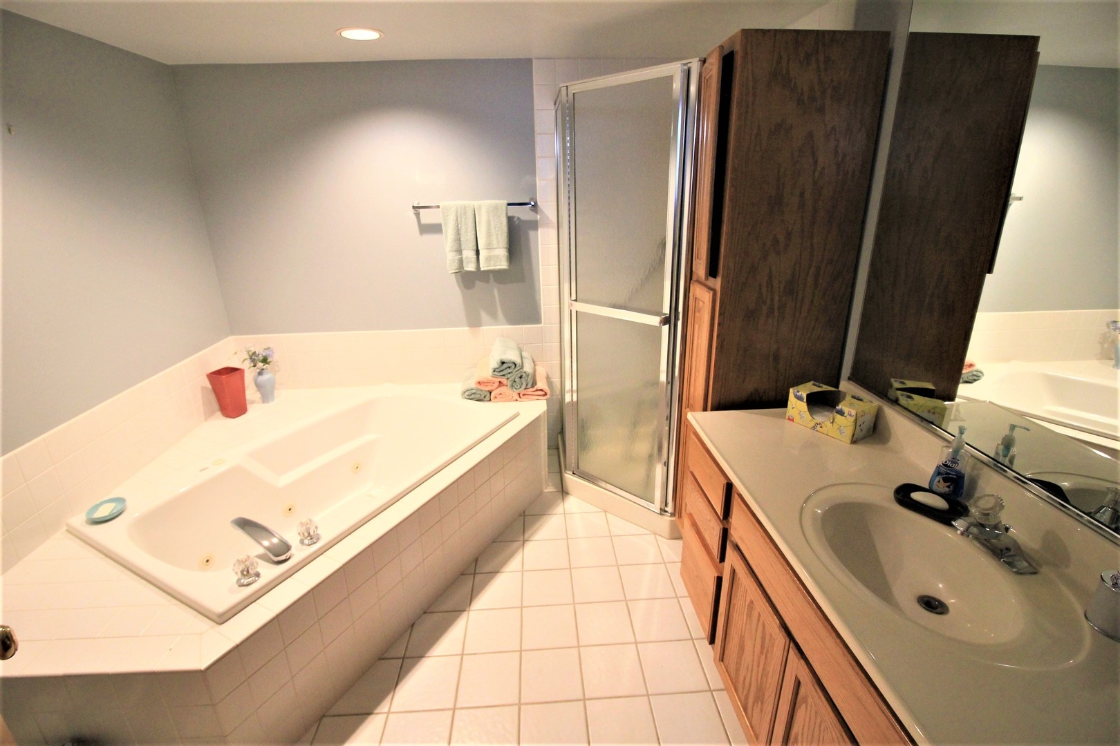 18136 Rita Road, Unit 1A Tinley Park, IL 60477 - Photo 15 of 19 a bathroom with a tub sink and mirror