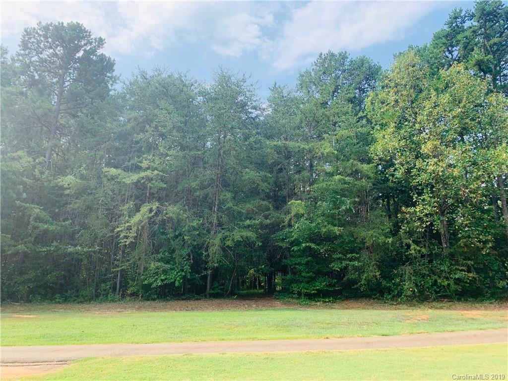 0 Fairfield Forest Road, Unit 5 Denver, NC 28037 - Photo 2 of 6