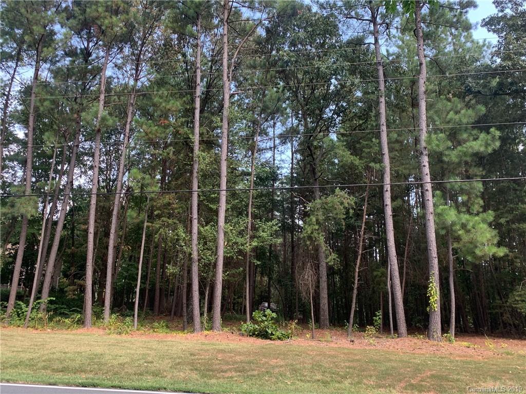 0 Fairfield Forest Road, Unit 5 Denver, NC 28037 - Photo 3 of 6