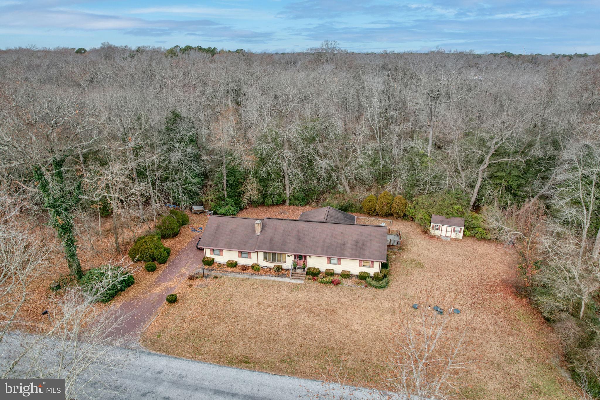 31674 Hickory Manor Road Frankford, DE 19945 - Photo 3 of 53 an aerial view of a house with a yard and trees