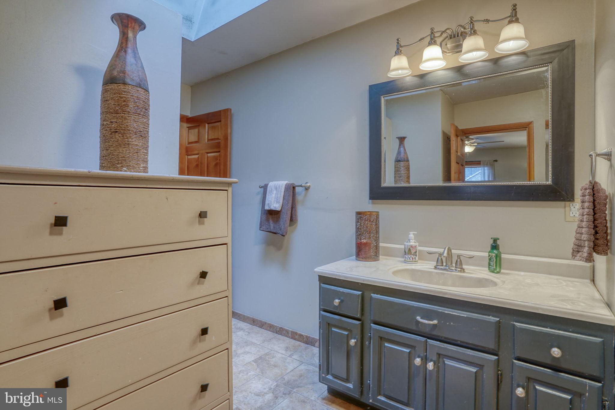 31674 Hickory Manor Road Frankford, DE 19945 - Photo 33 of 53 a bathroom with a sink and a mirror