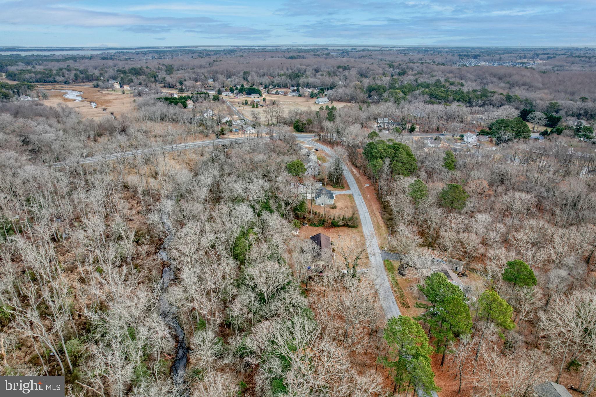 31674 Hickory Manor Road Frankford, DE 19945 - Photo 46 of 53