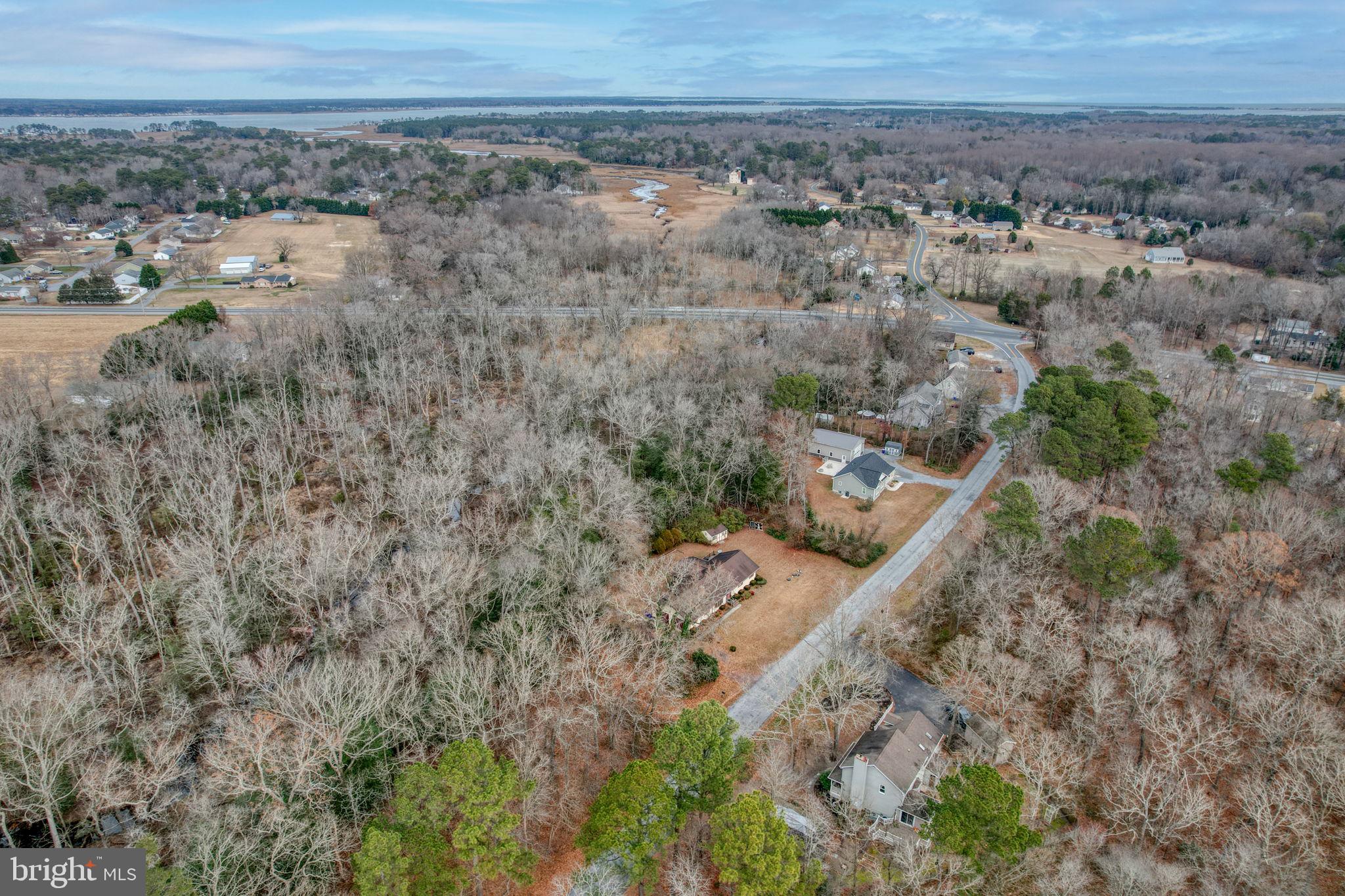 31674 Hickory Manor Road Frankford, DE 19945 - Photo 47 of 53 a view of a dry yard with trees