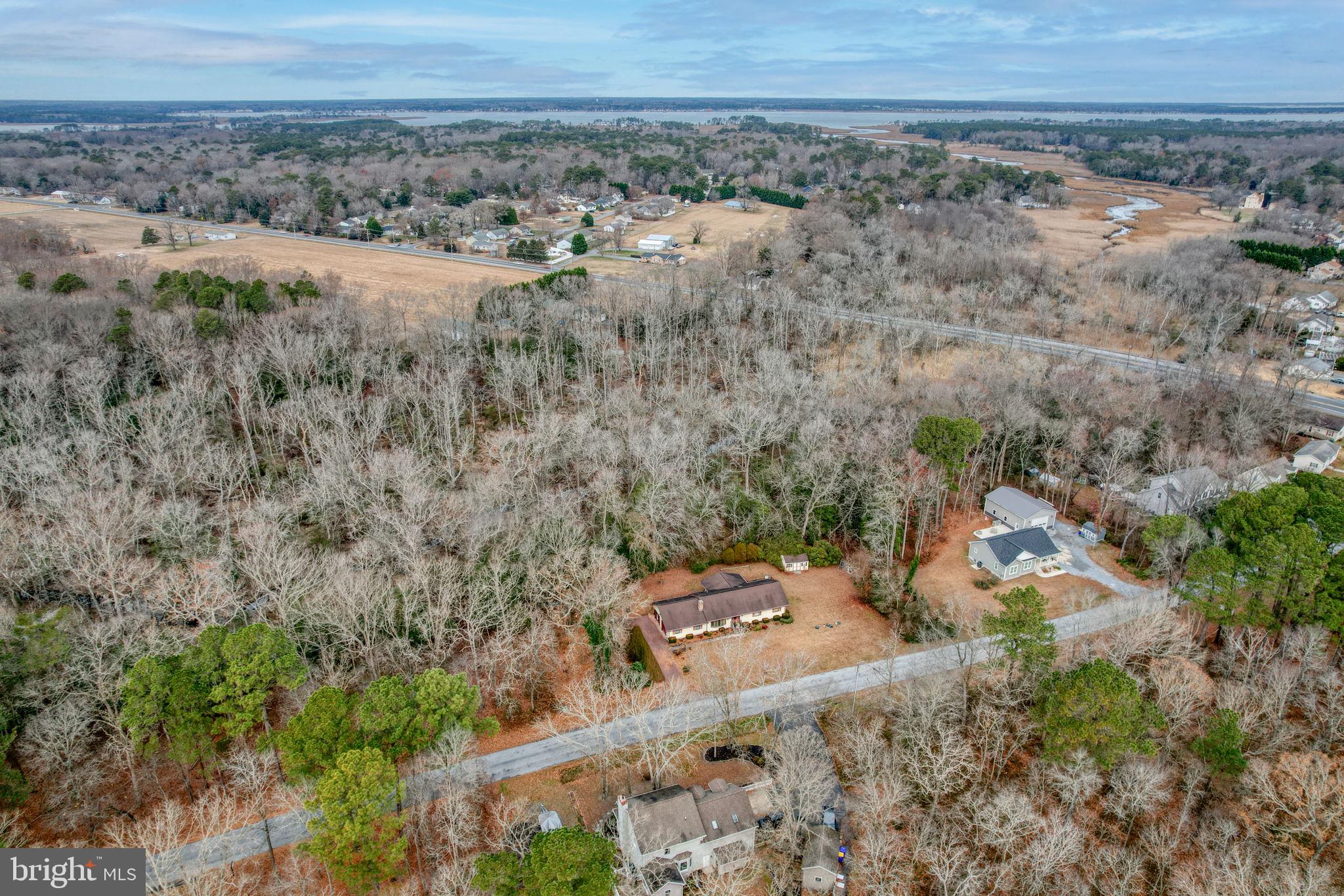 31674 Hickory Manor Road Frankford, DE 19945 - Photo 49 of 53 an aerial view of a