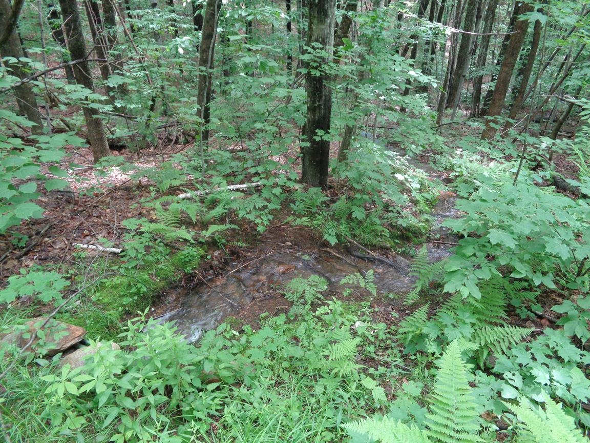 Tioga/patten Rd Hill Hill, NH 03243 - Photo 12 of 14