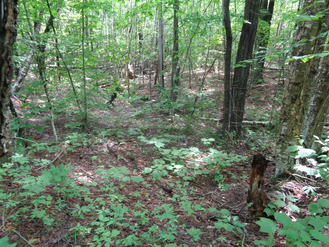 Tioga/patten Rd Hill Hill, NH 03243 - Photo 2 of 14