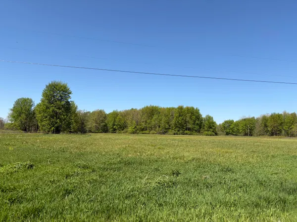 $47,750 | 0 40th Street, Unit PARCEL B, Paw Paw, MI 49079