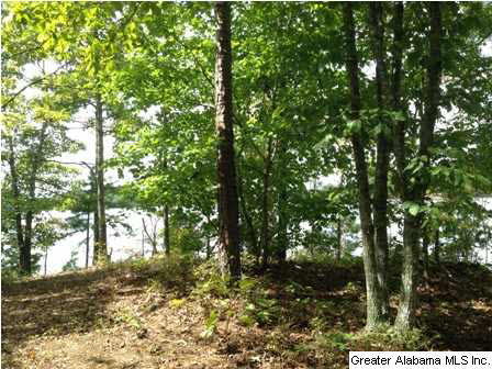 Creek Trail, Unit 40 Wedowee, AL 36278 - Photo 2 of 7