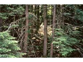 34 Skatutakee Lake Road Harrisville, NH 03450 - Photo 2 of 2