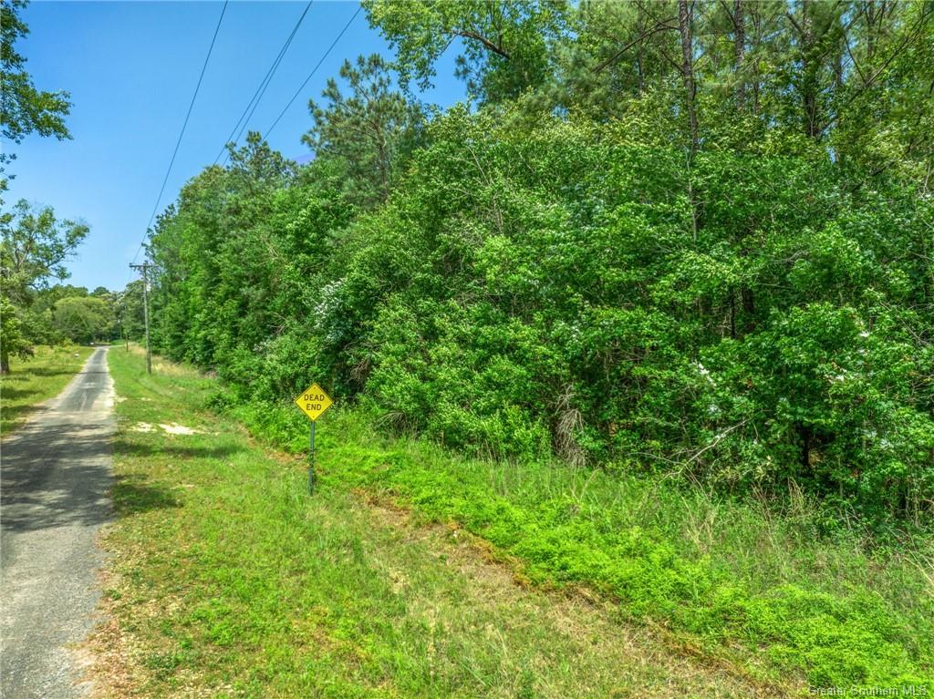 0 Abshire Road Starks, LA 70661 - Photo 1 of 8