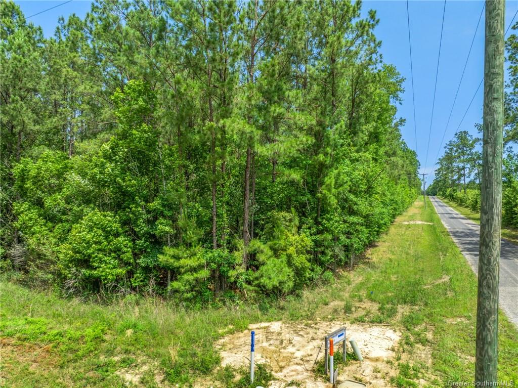 0 Abshire Road Starks, LA 70661 - Photo 2 of 8
