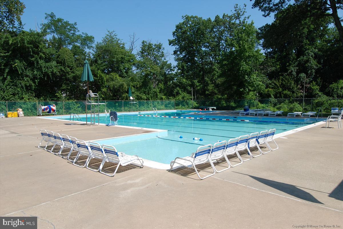 648 Shore Acres Road Arnold, MD 21012 - Photo 53 of 60 Community Pool-Go Ducks!