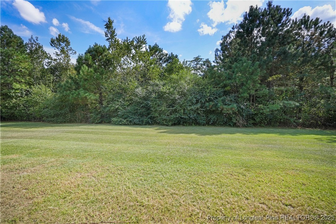 720 Cape Fear Road Raeford, NC 28376 - Photo 32 of 35 a view of a field with an ocean