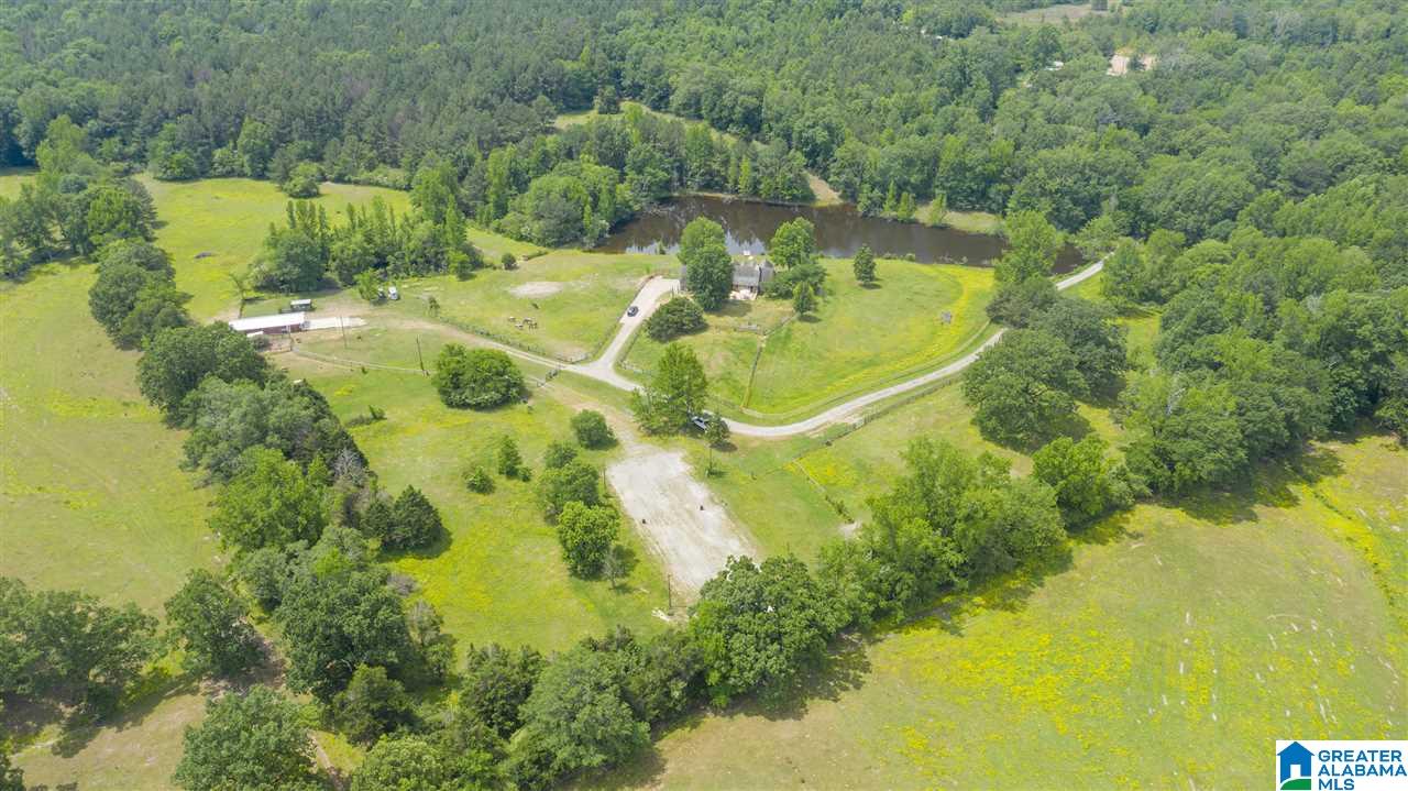 212 Highway 213 Calera Al Calera, AL 35040 - Photo 9 of 50