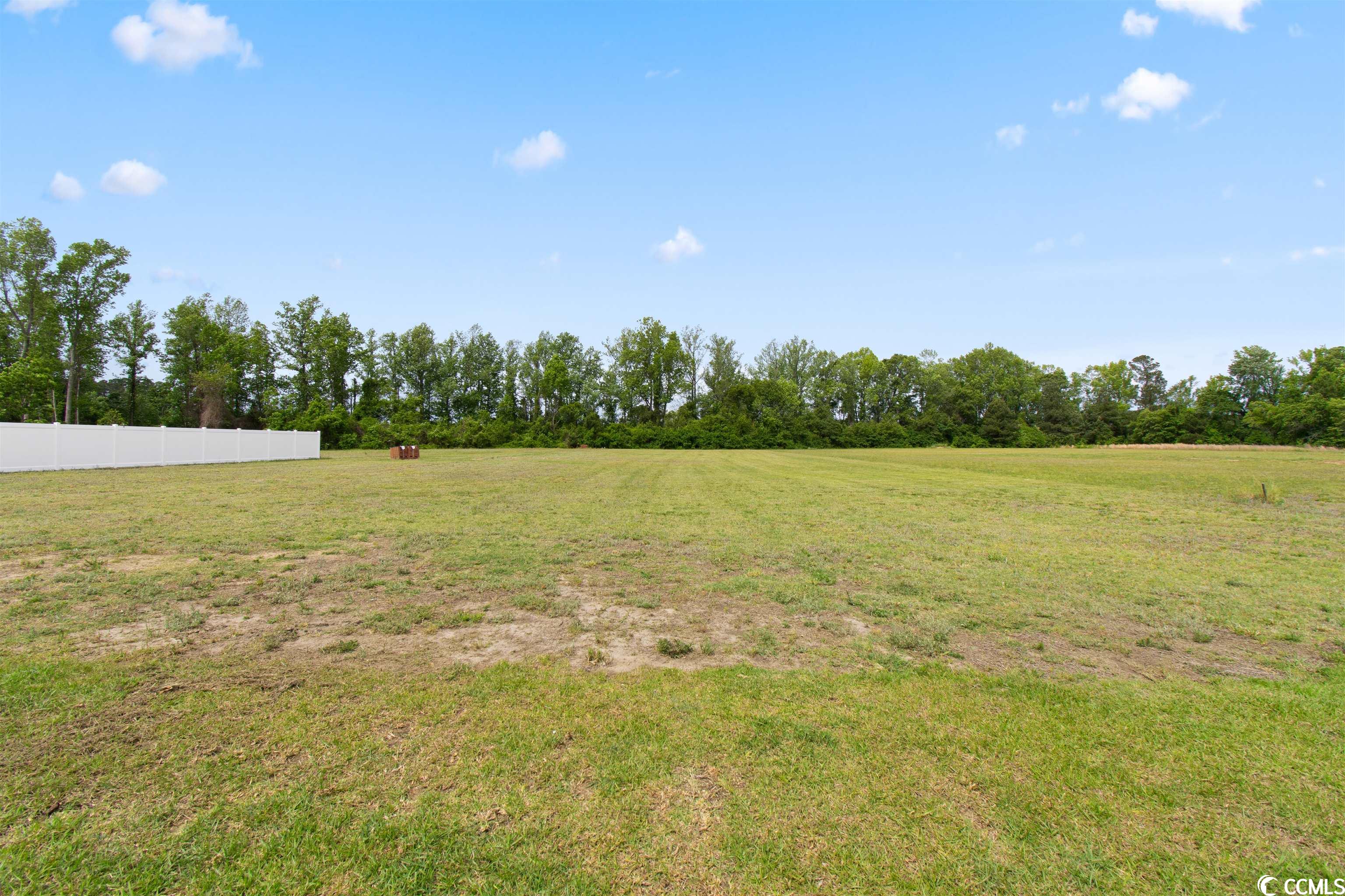 1062 Busy Corner Road Conway, SC 29527 - Photo 31 of 33 Gallery Image 31