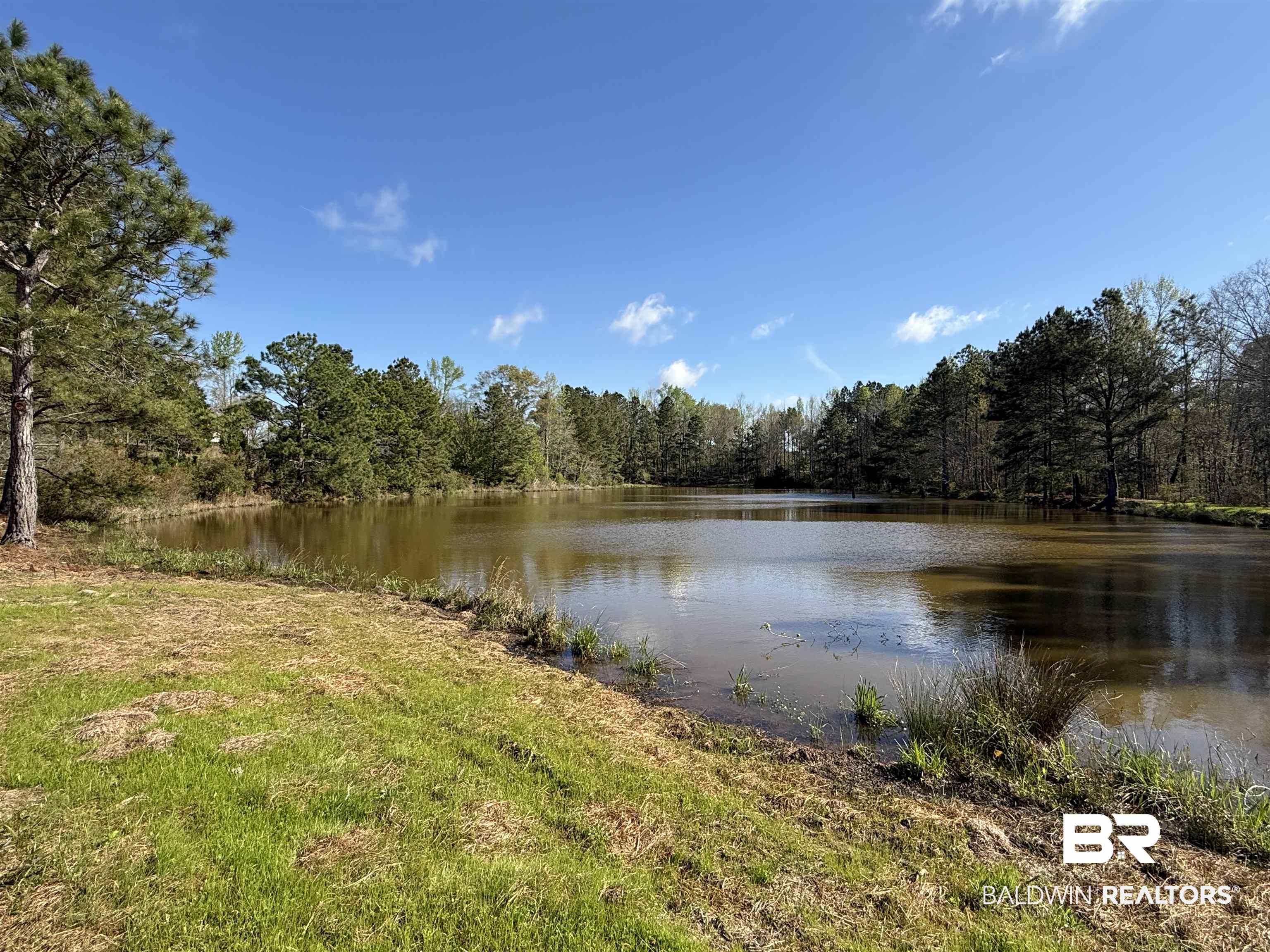 0 Gap Weekly Road Perdido, AL 36562 - Photo 11 of 20