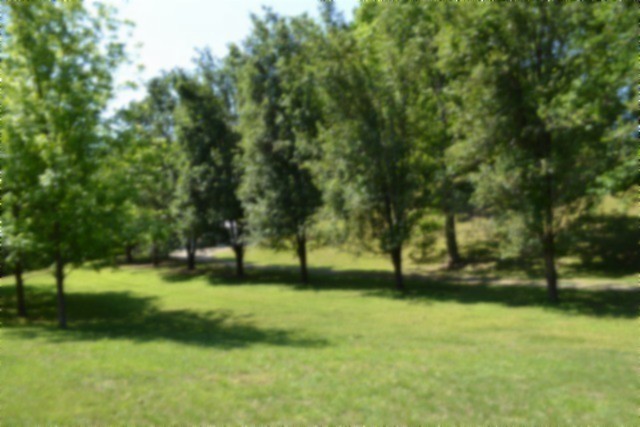 318 Rock Springs Road Celina, TN 38551 - Photo 64 of 87