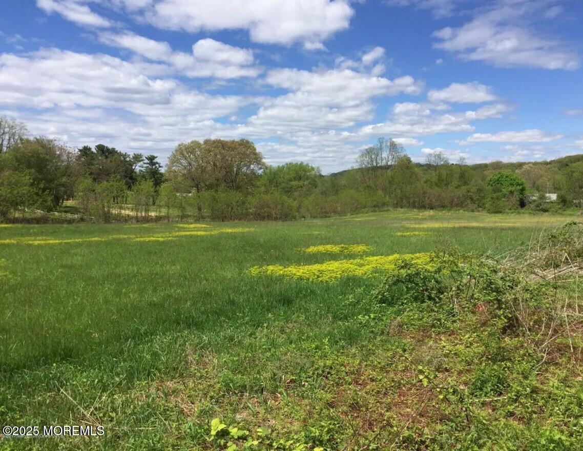 a view of an ocean and a yard