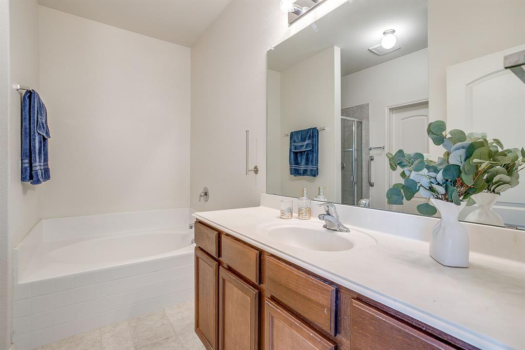 136 Kennedy Drive Venus, TX 76084 - Photo 11 of 27 a bathroom with a sink a bathtub and a mirror