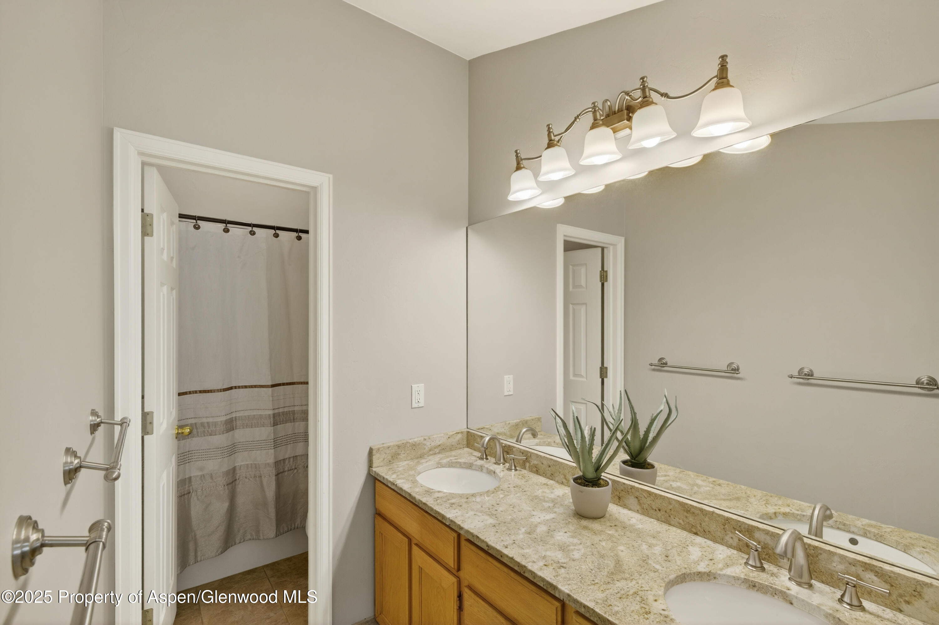 830 Donegan Road, Unit D Glenwood Springs, CO 81601 - Photo 9 of 21 a bathroom with a granite countertop sink a mirror and a shower