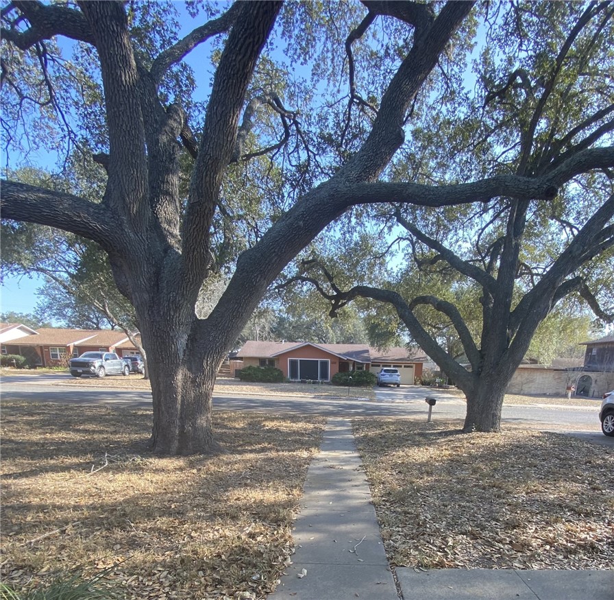1119 Jefferson Street Alice, TX 78332 - Photo 2 of 23 a tree in the middle of a yard
