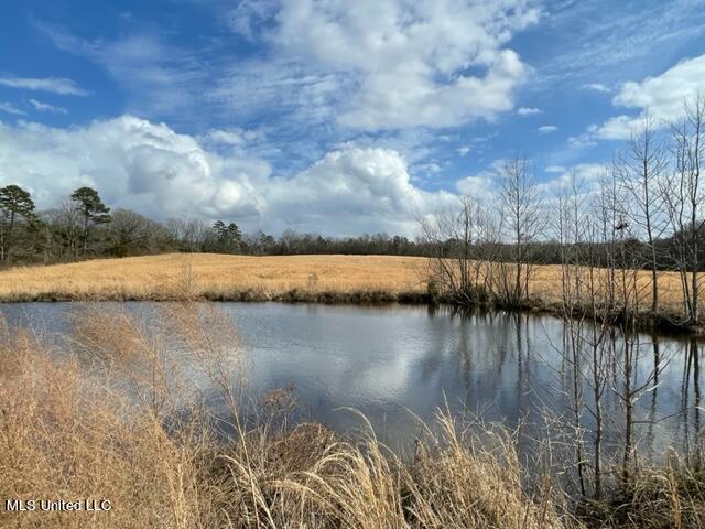 3228 King Road Forest, MS 39074 - Photo 1 of 5 IMG_0398