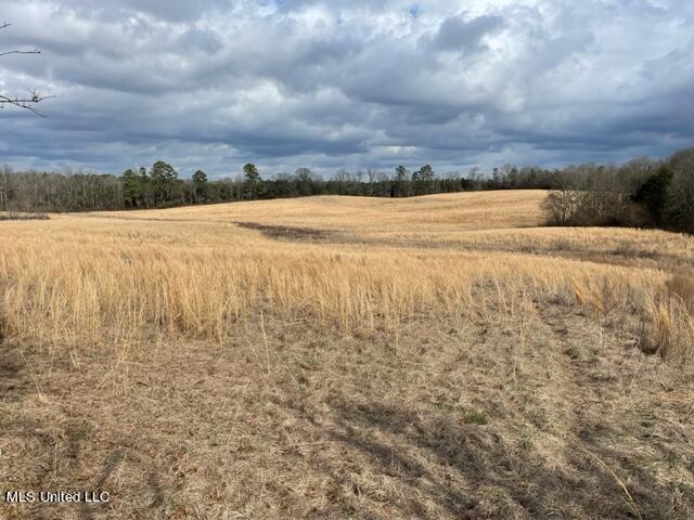 3228 King Road Forest, MS 39074 - Photo 3 of 5 IMG_0395