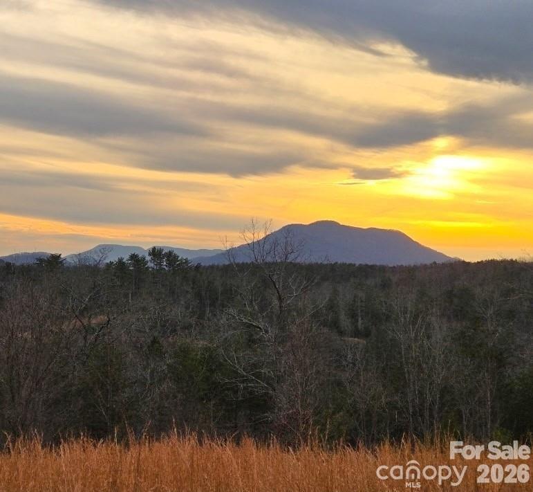 a view of a back yard