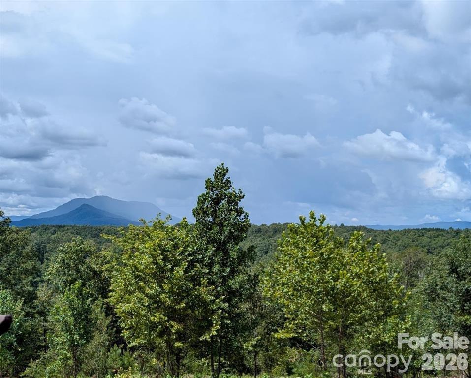 Lot #1 Prices Drive Rutherfordton, NC 28139 - Photo 2 of 40 a view of a bunch of trees and bushes