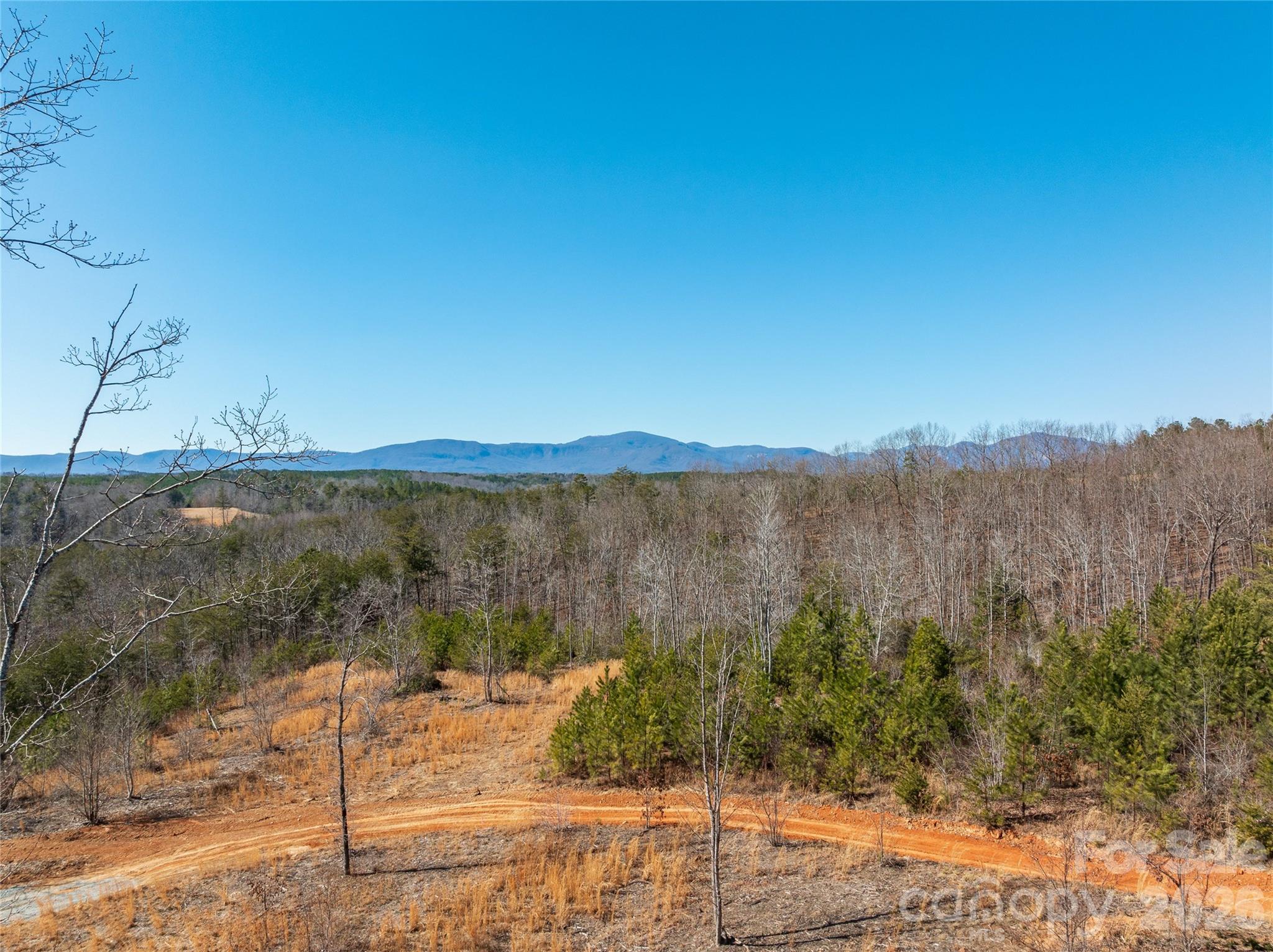 Lot #1 Prices Drive Rutherfordton, NC 28139 - Photo 26 of 40 a view of a lake with a yard