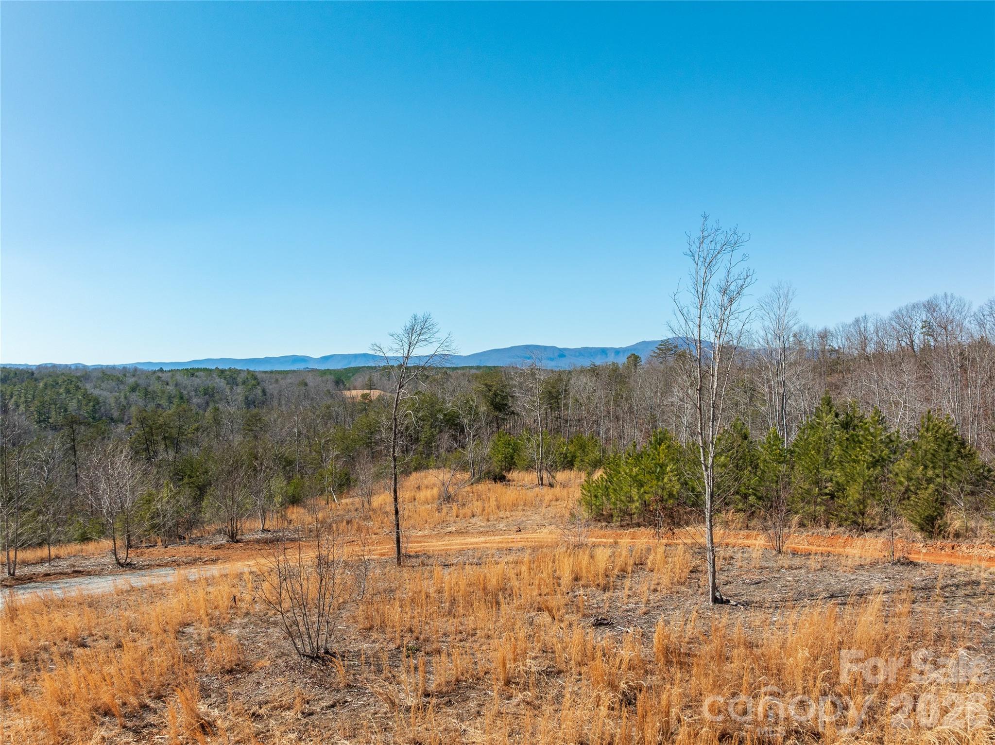 Lot #1 Prices Drive Rutherfordton, NC 28139 - Photo 27 of 40 a view of a yard with trees in the background