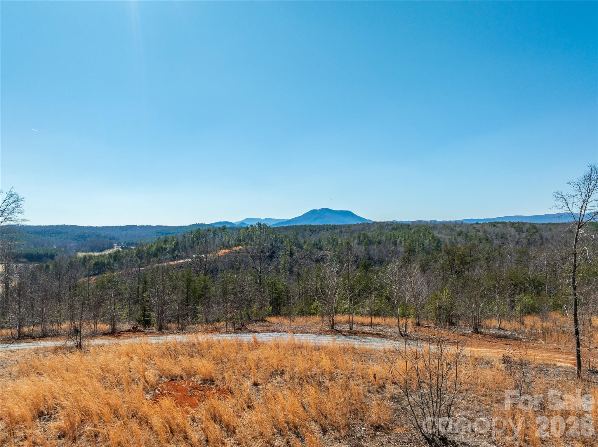 Lot #1 Prices Drive Rutherfordton, NC 28139 - Photo 28 of 40 a view of a yard with a snow