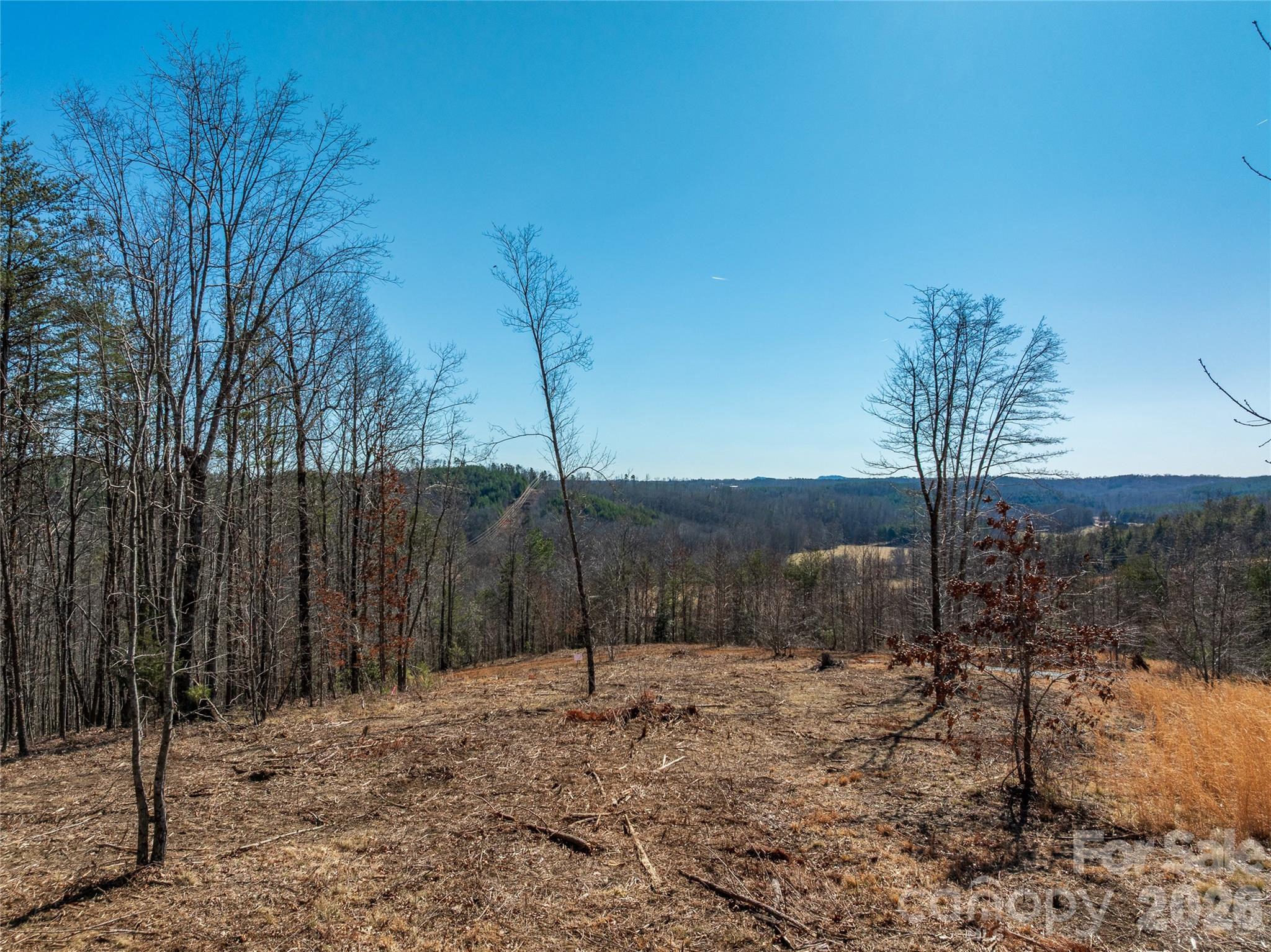 Lot #1 Prices Drive Rutherfordton, NC 28139 - Photo 29 of 40