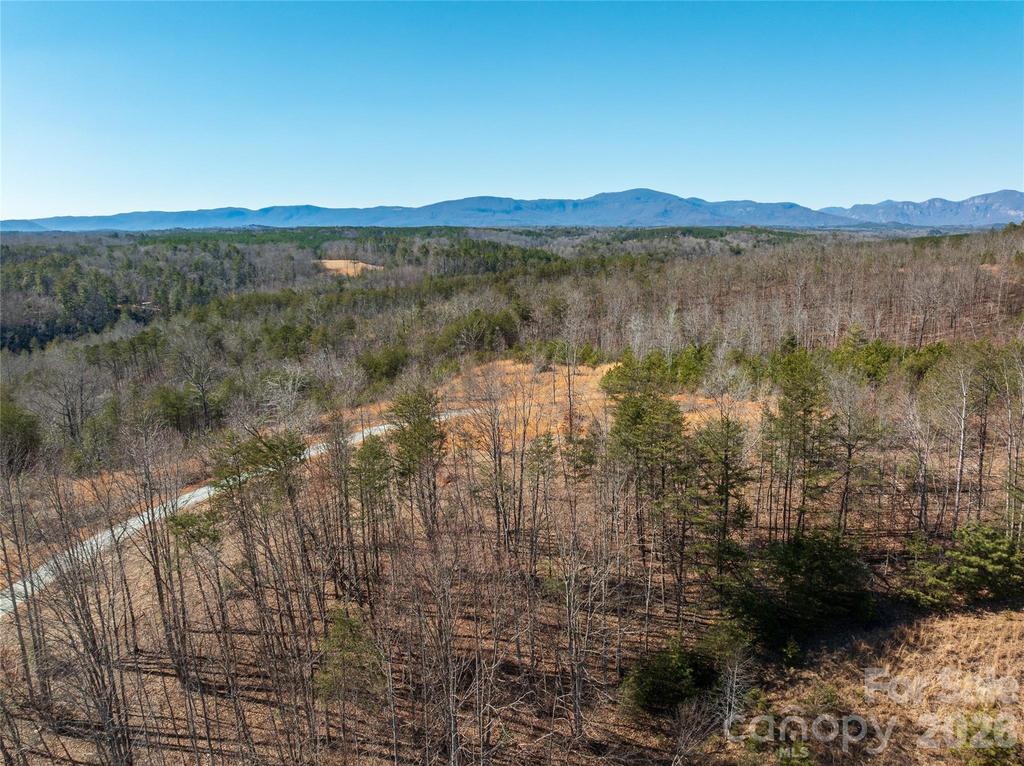 Lot #1 Prices Drive Rutherfordton, NC 28139 - Photo 37 of 40 a view of lake with mountain in the background