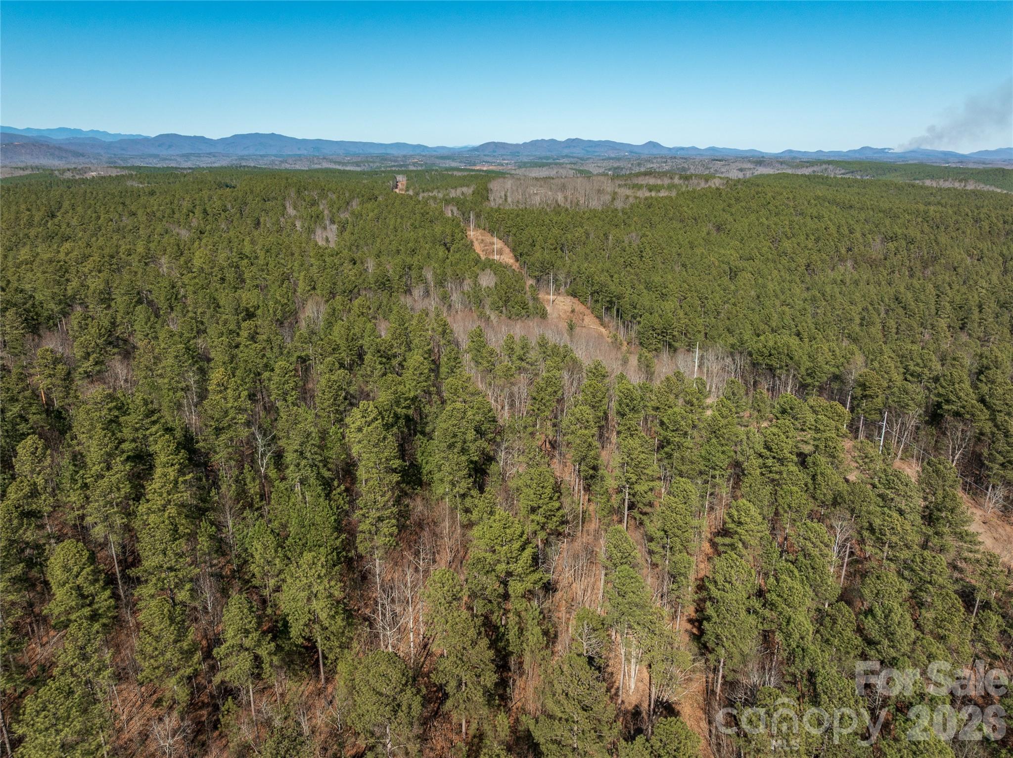 Lot #1 Prices Drive Rutherfordton, NC 28139 - Photo 40 of 40 a view of lake with mountain