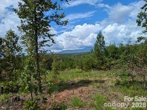 Lot #1 Prices Drive Rutherfordton, NC 28139 - Photo 4 of 40 a view of a tree in a yard