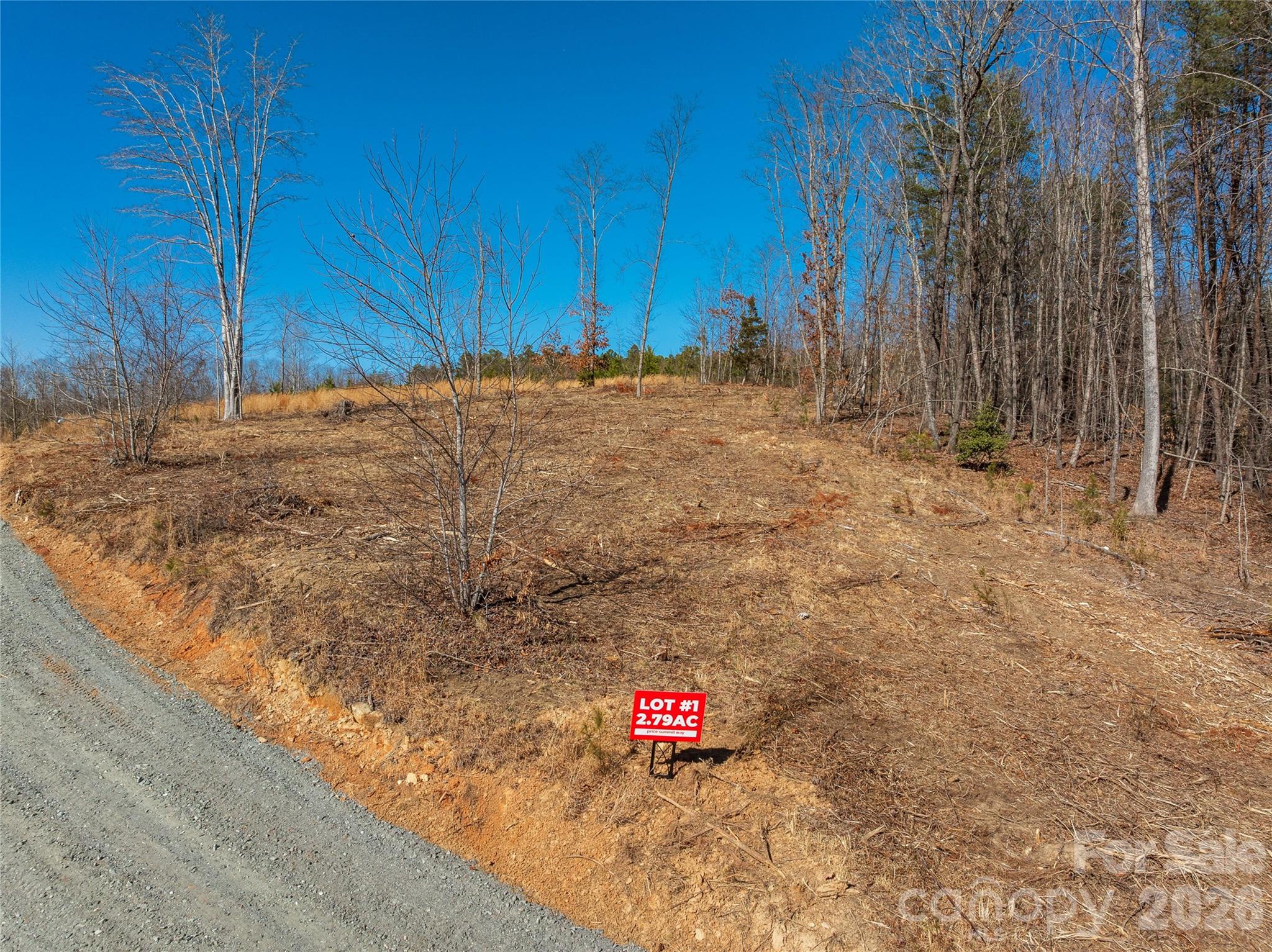 Lot #1 Prices Drive Rutherfordton, NC 28139 - Photo 5 of 40 a view of water area with trees