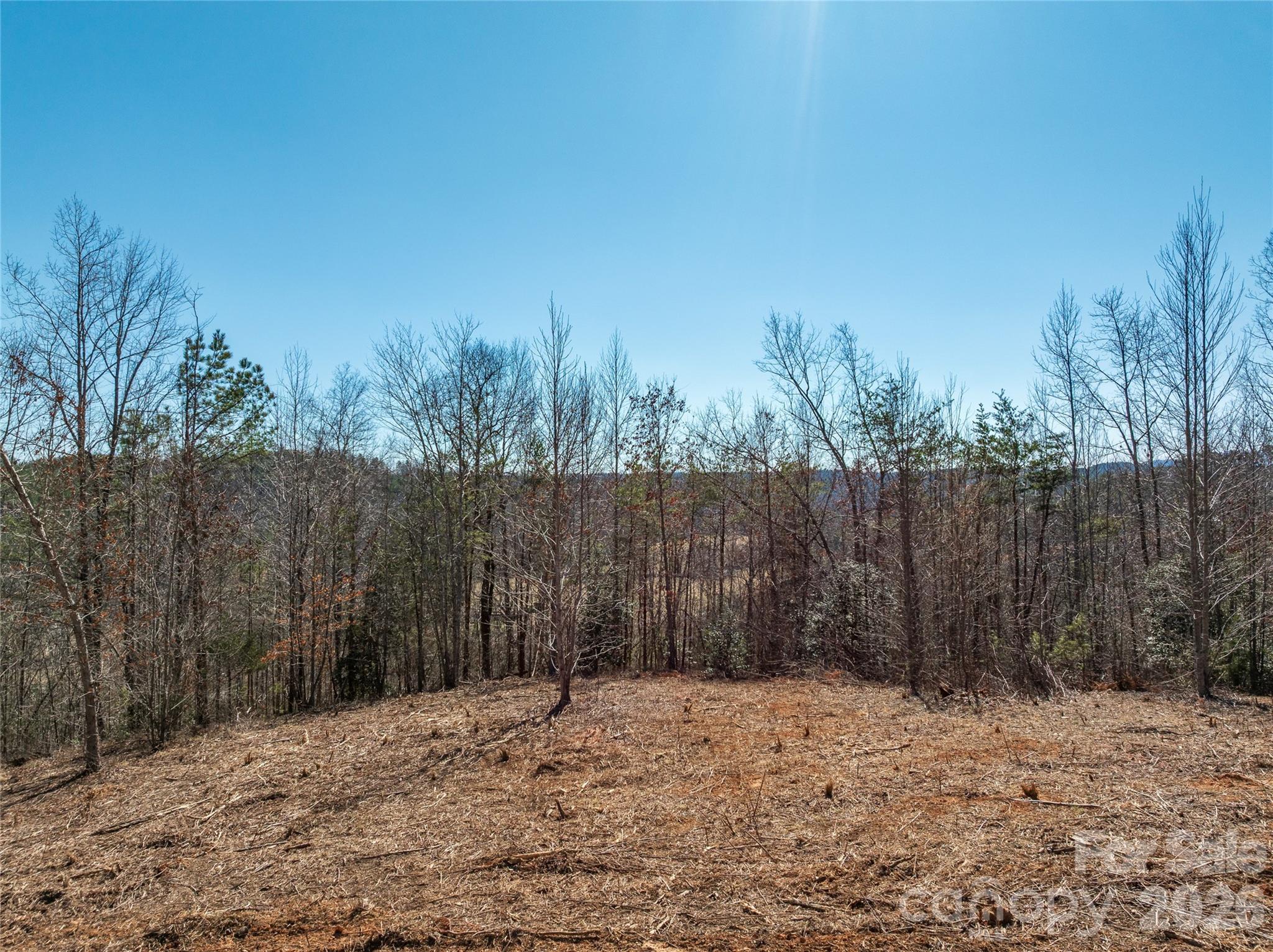 Lot #1 Prices Drive Rutherfordton, NC 28139 - Photo 7 of 40