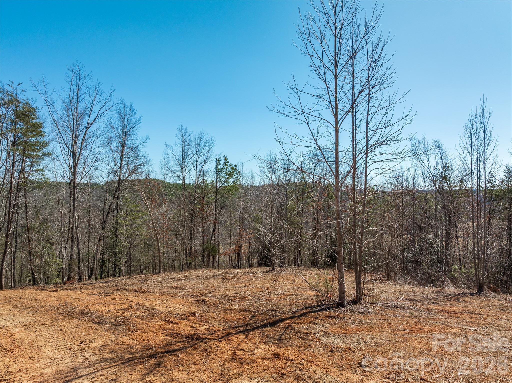 Lot #1 Prices Drive Rutherfordton, NC 28139 - Photo 8 of 40 a view of a backyard of the house