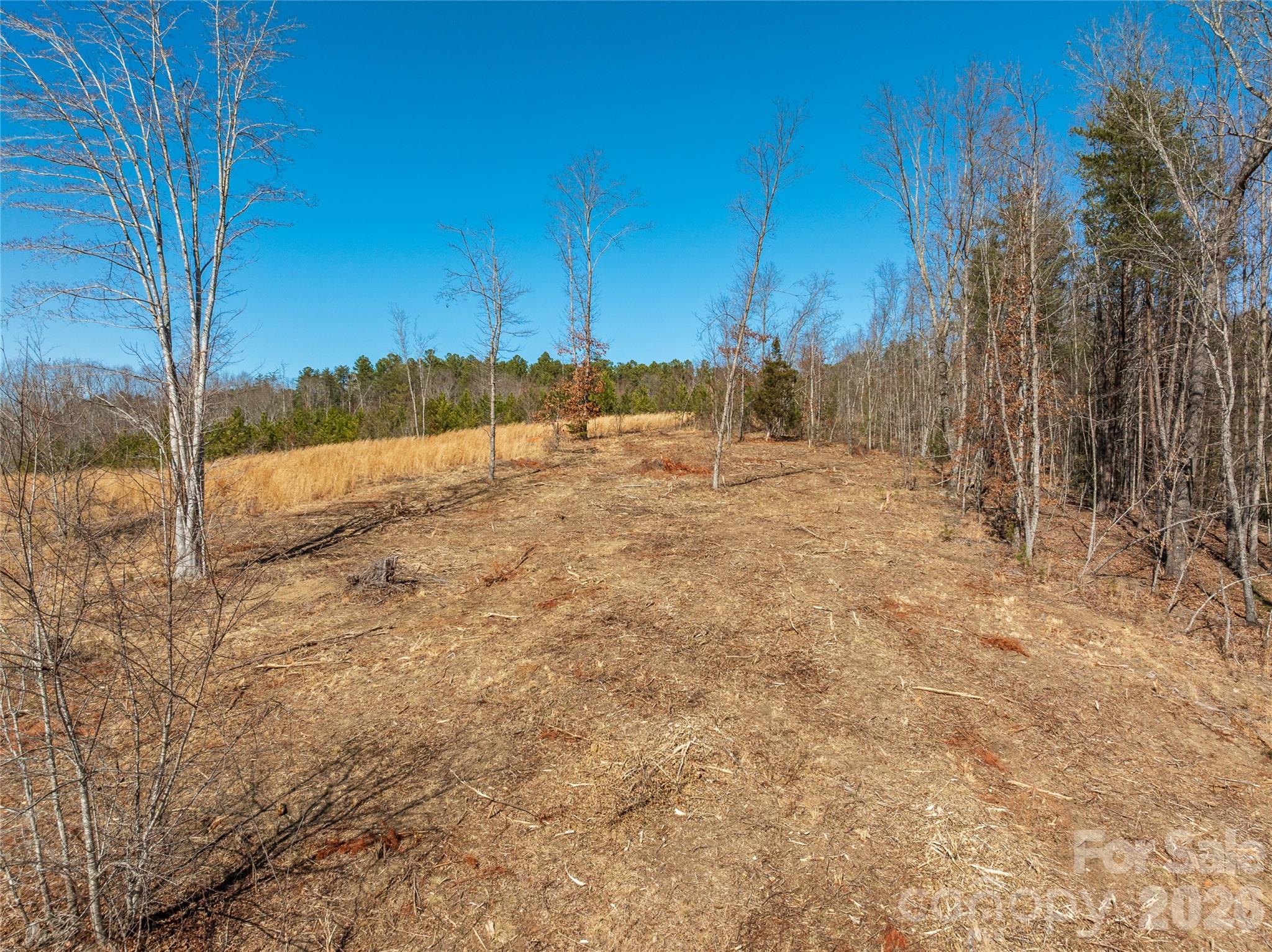 Lot #1 Prices Drive Rutherfordton, NC 28139 - Photo 9 of 40 a view of dirt yard