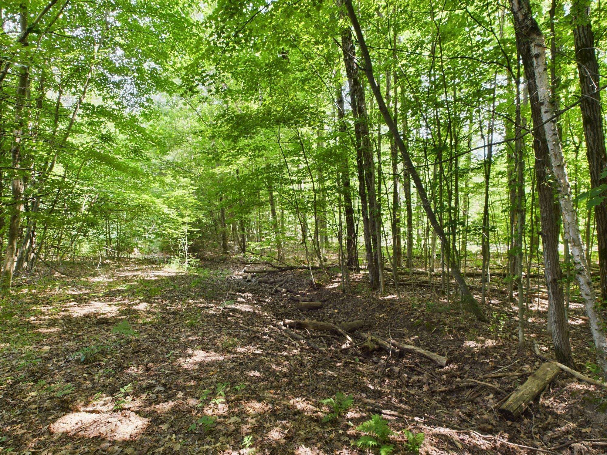 0 North Reynolds Road Interlochen, MI 49643 - Photo 17 of 22