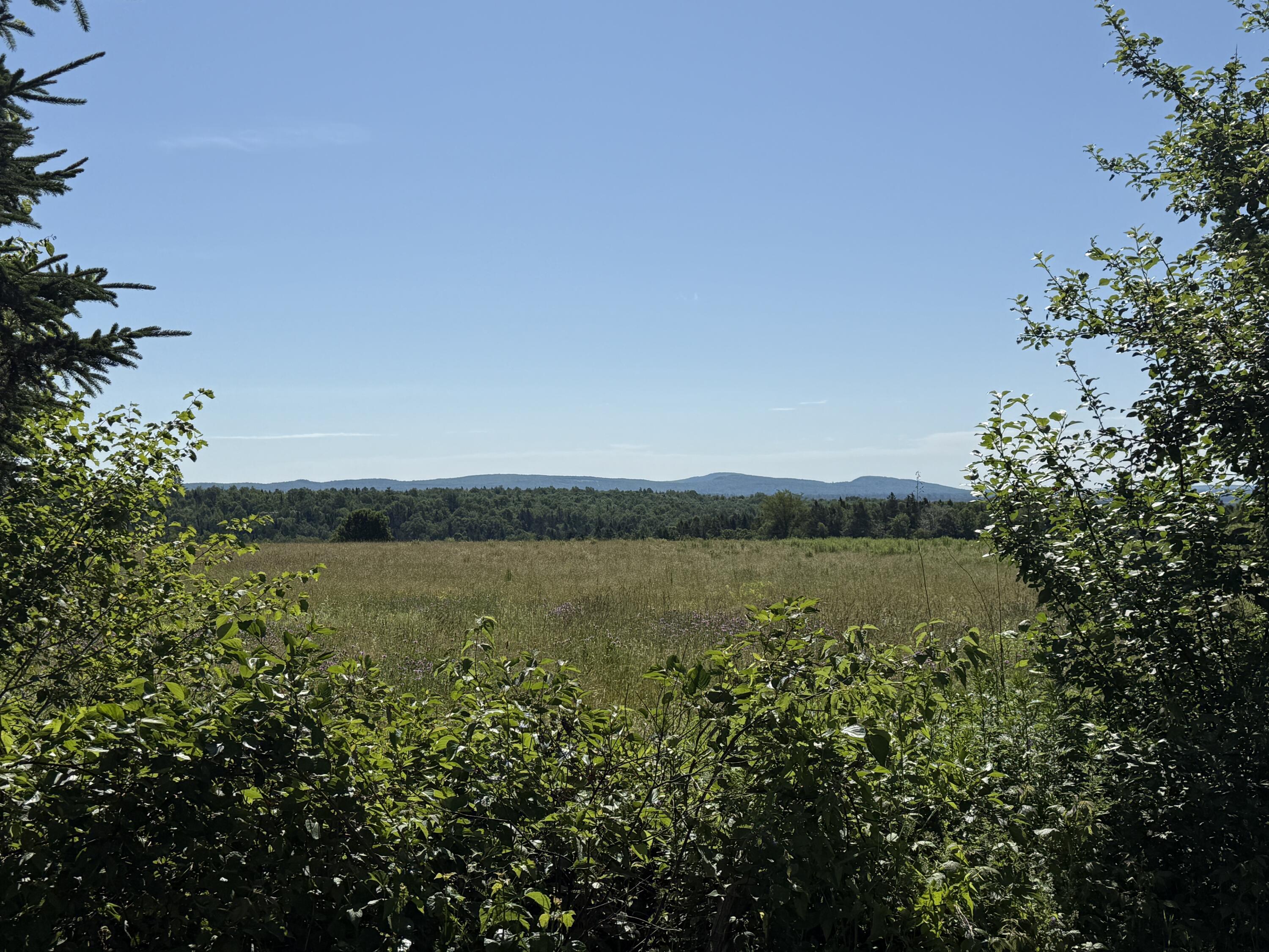 178 Irish Settlement Road Danforth, ME 04424 - Photo 45 of 52 View from the driveway