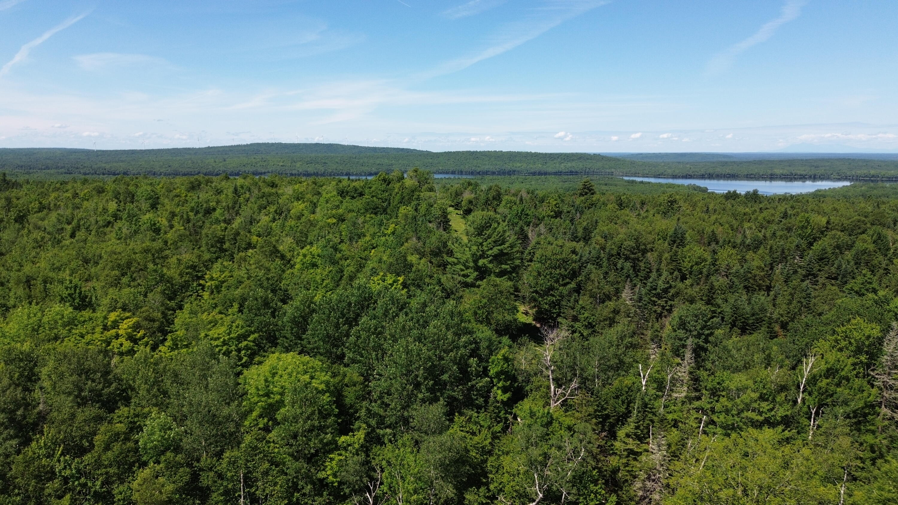 178 Irish Settlement Road Danforth, ME 04424 - Photo 8 of 50 DJI_0414