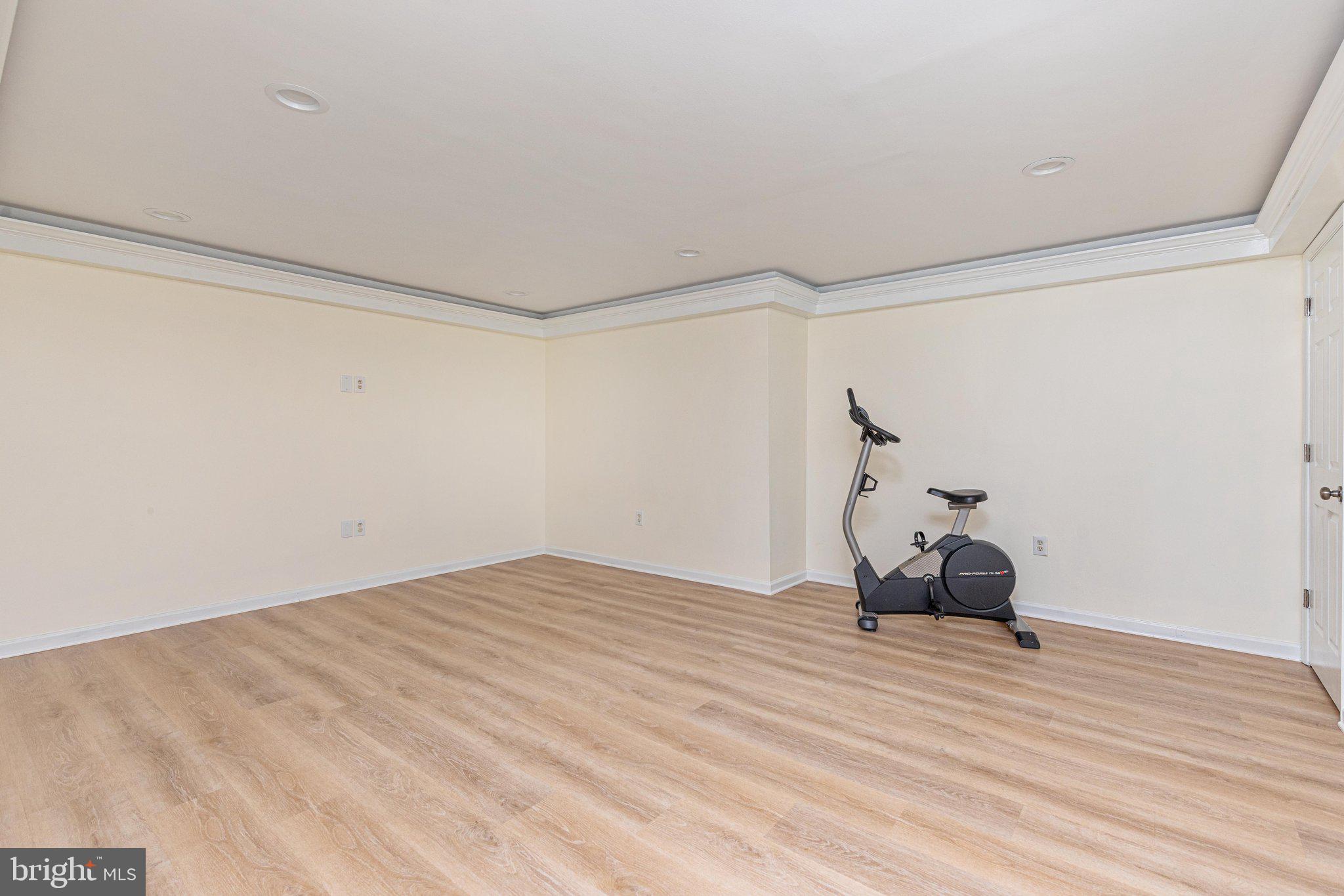 38786 Rambling Farm Drive Hamilton, VA 20158 - Photo 63 of 97 Lower level office/play room/gym - what have you?