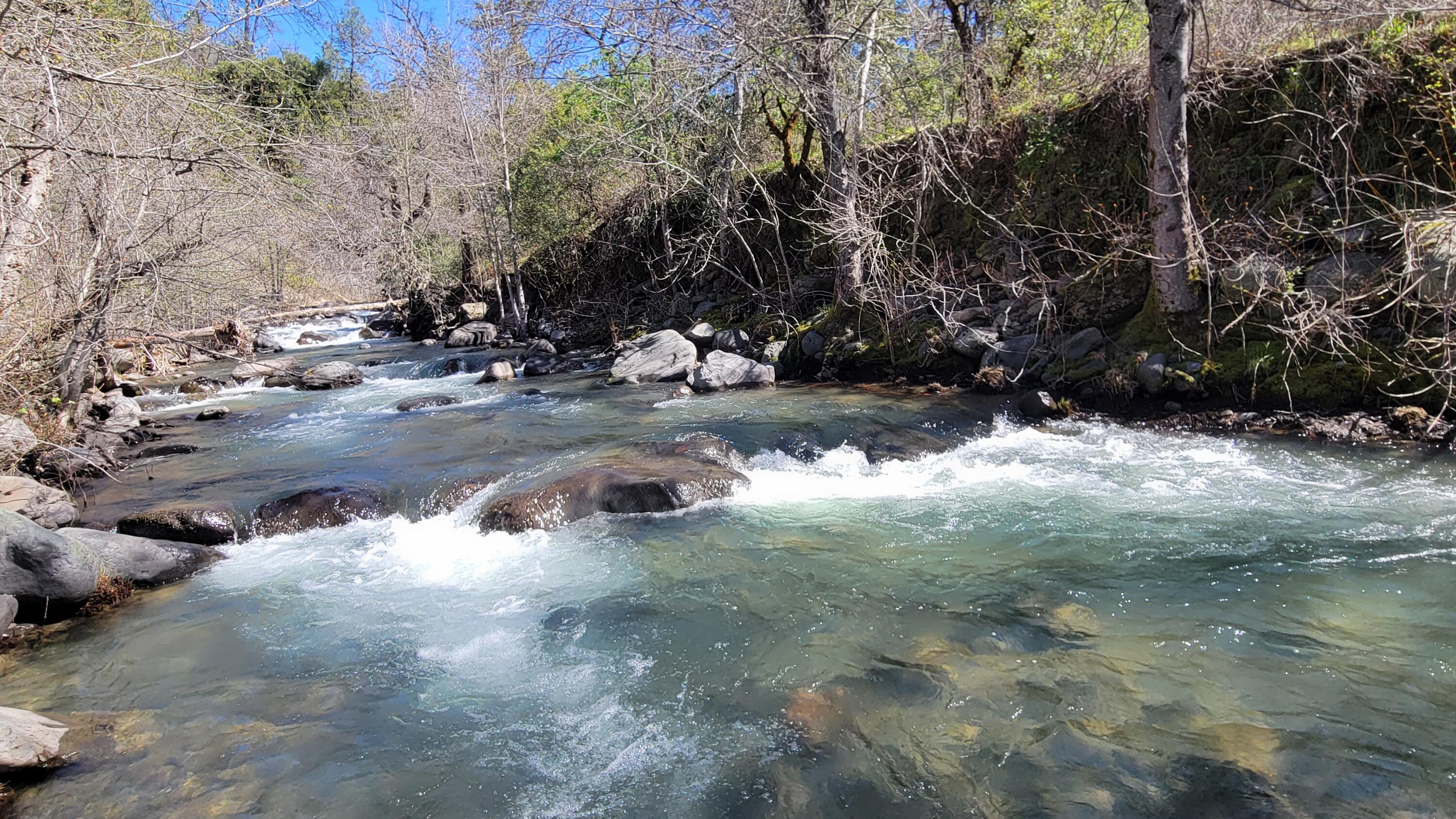0 Jacey's Tract Road Oak Run, CA 96069 - Photo 16 of 35 20260317_121608