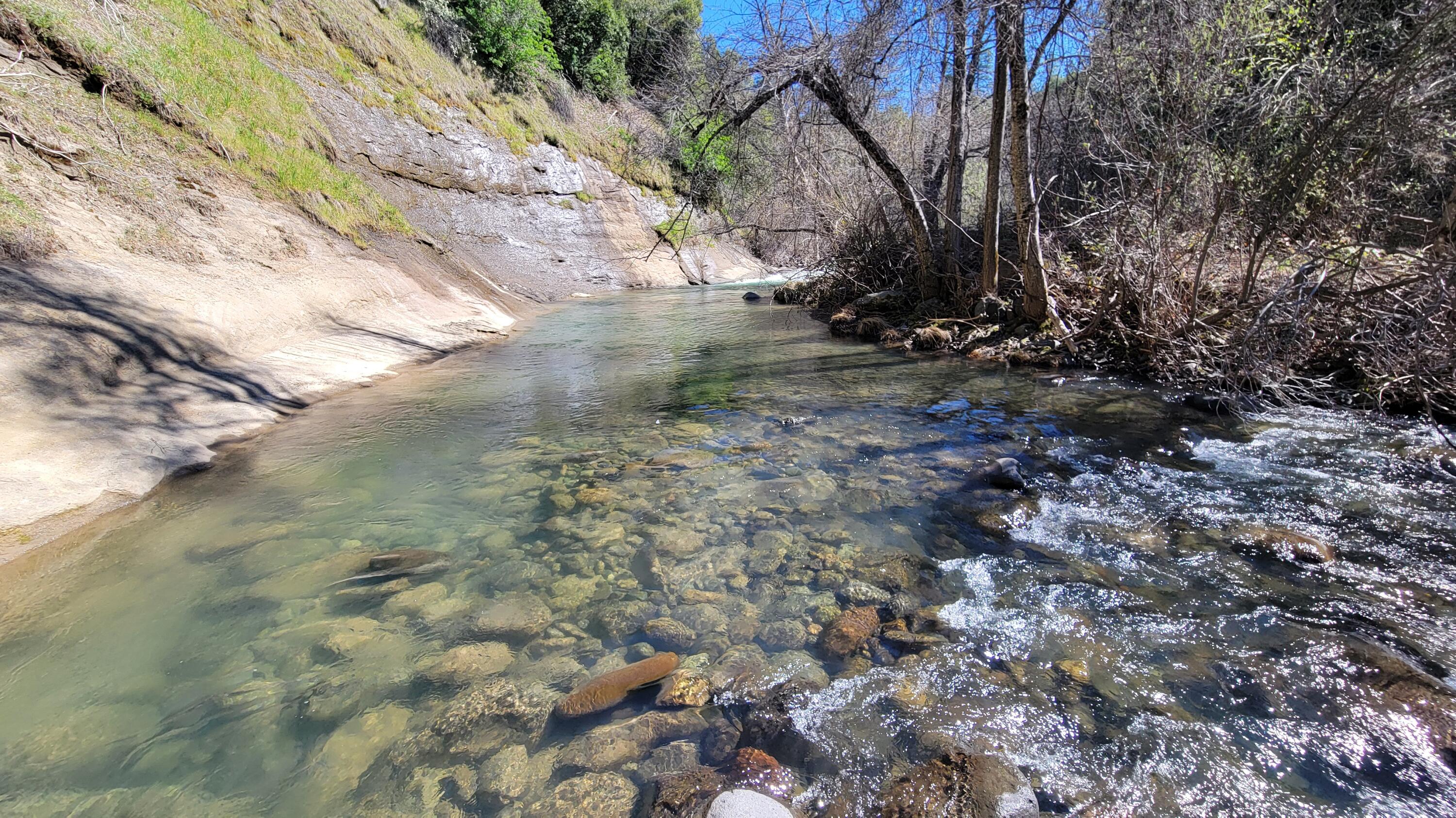 0 Jacey's Tract Road Oak Run, CA 96069 - Photo 19 of 35 20260317_122815