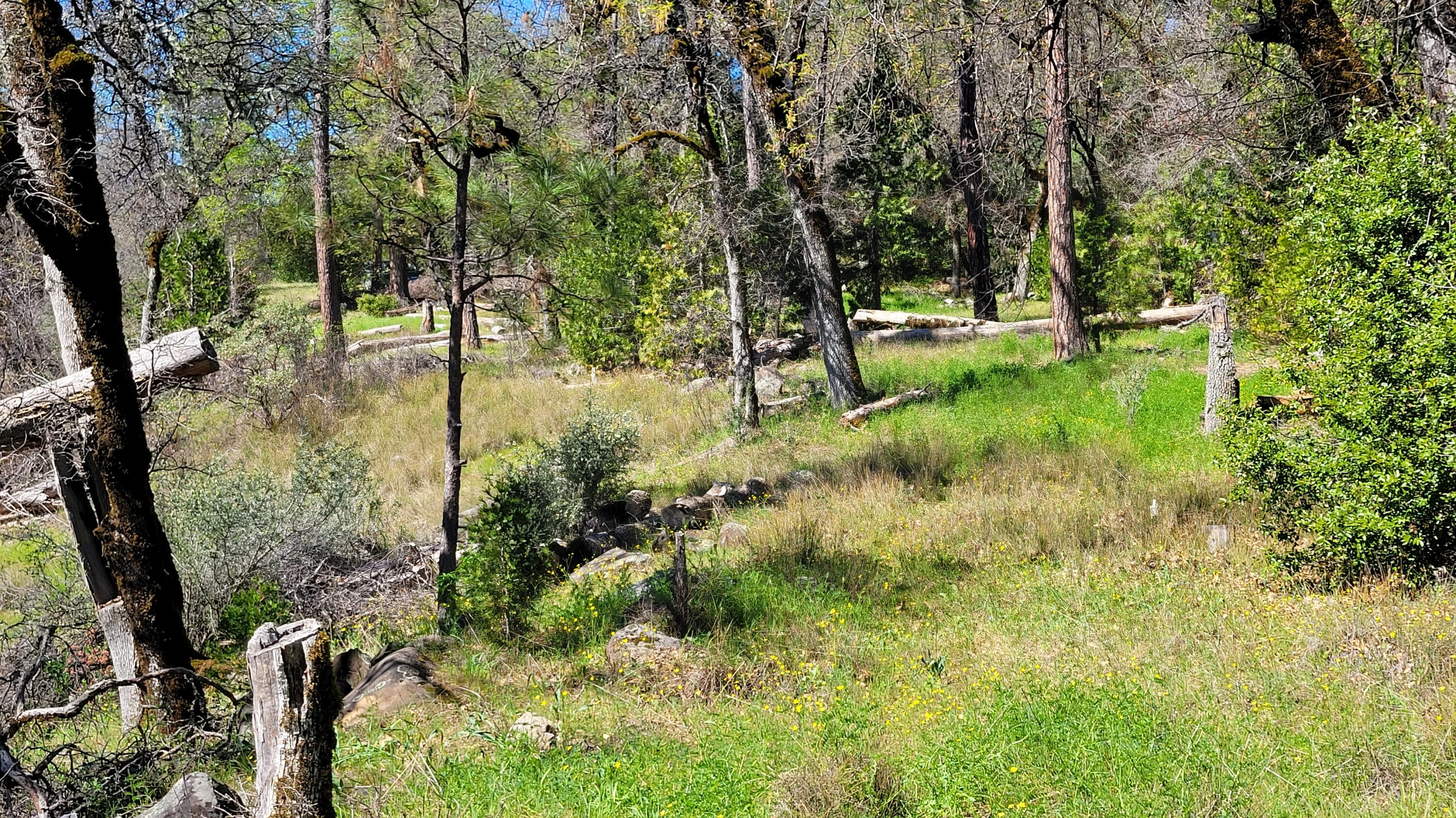 0 Jacey's Tract Road Oak Run, CA 96069 - Photo 22 of 35 20260317_123857