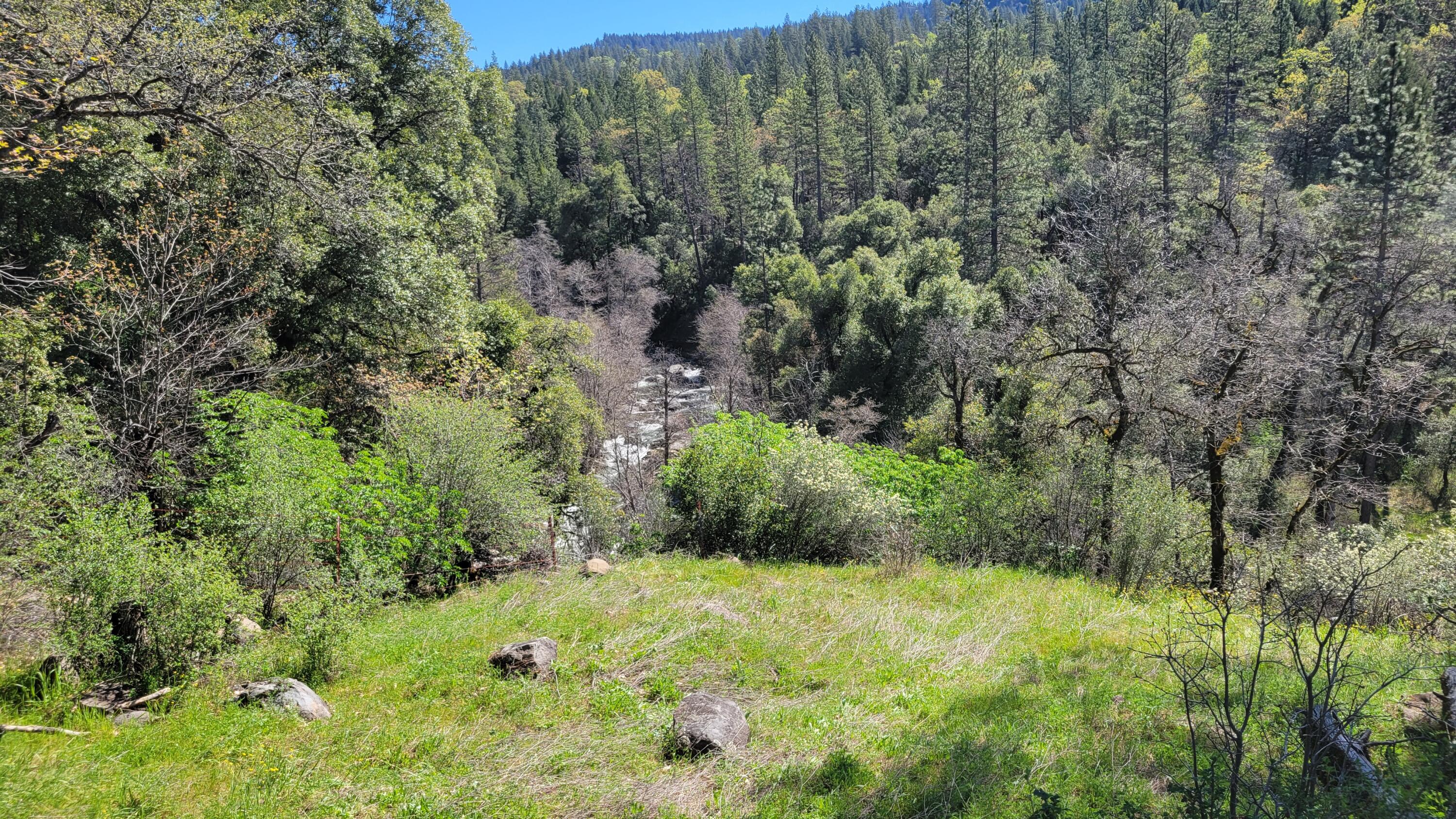 0 Jacey's Tract Road Oak Run, CA 96069 - Photo 26 of 35 20260317_124355